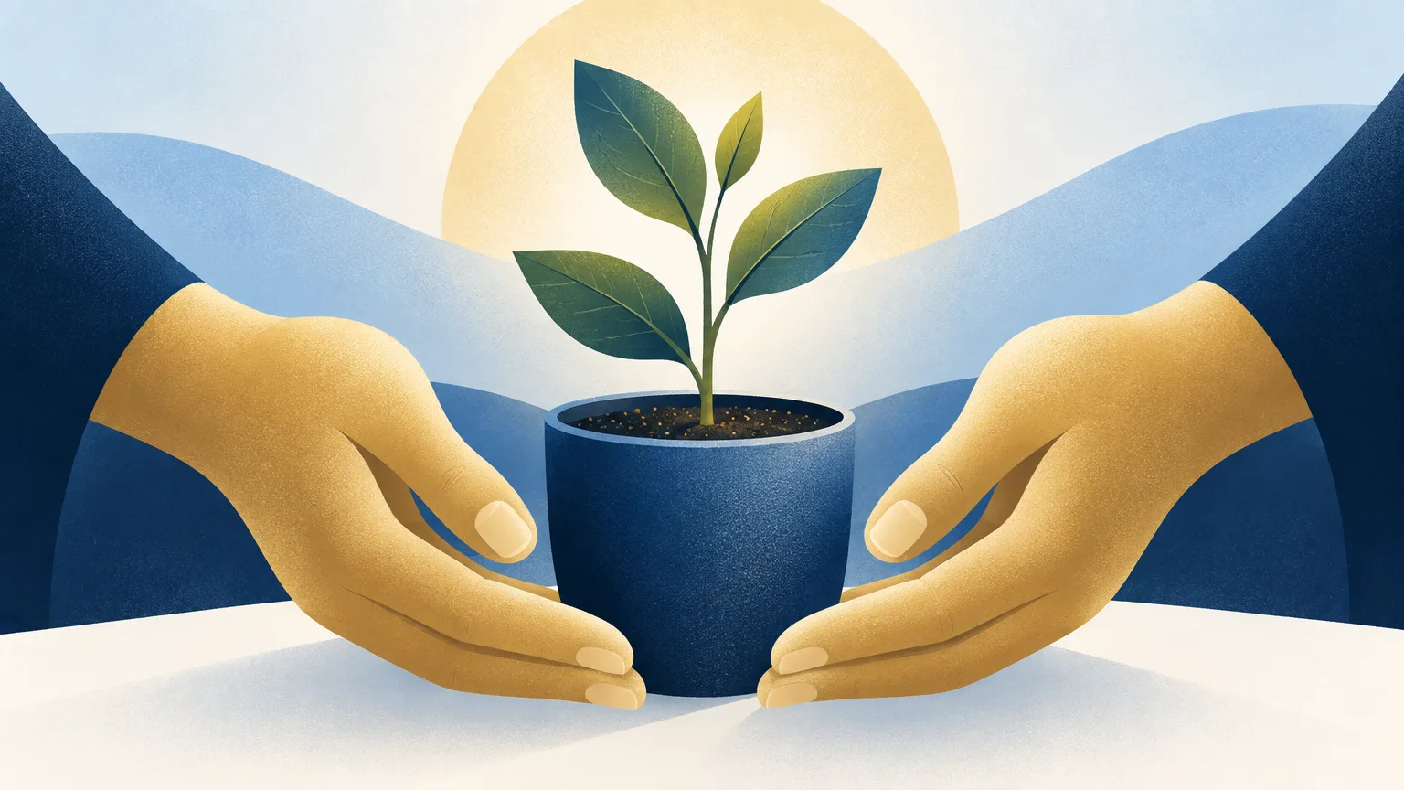 A sapling supported by two hands