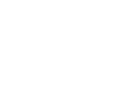 Immigration Agency logo