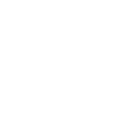 Stamp Wills & Notary logo